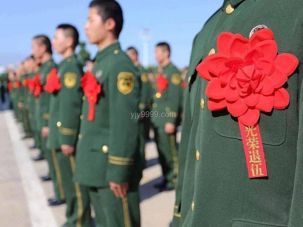 郑钦文带动香蕉奶市场“奶声奶气”新风尚，未来趋势如何？